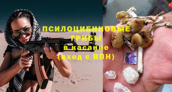 ПСИЛОЦИБИНОВЫЕ ГРИБЫ Рославль