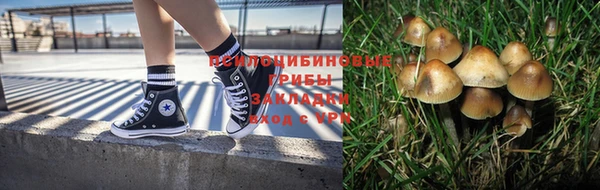 прущая мука Баксан