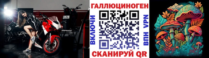 ОМГ ОМГ   Курильск  Псилоцибиновые грибы Psilocybine cubensis 