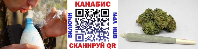 что такое   Курильск  МАРИХУАНА сатива 